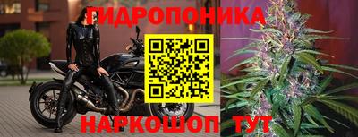 твердый Анапа
