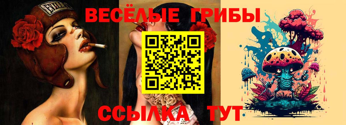 Галлюциногенные грибы мухоморы  Вход с VPN  Подольск 